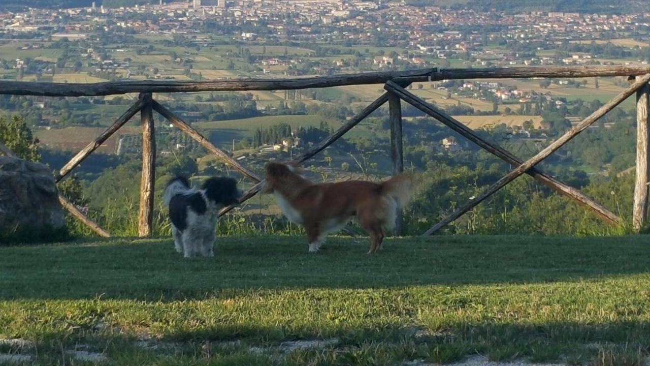 Agriturismo Countryhouse Le Giare Gubbio Exterior foto